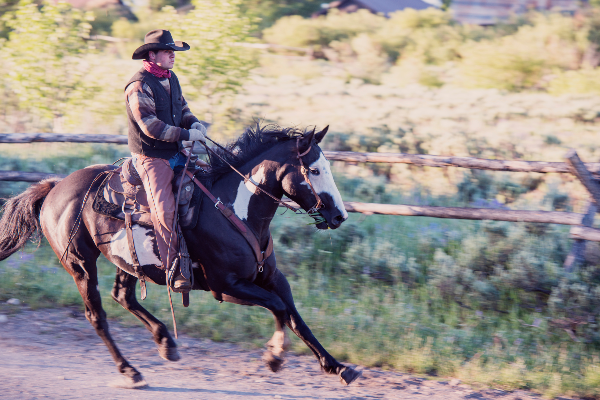 west yellowstone, montana (4).webp